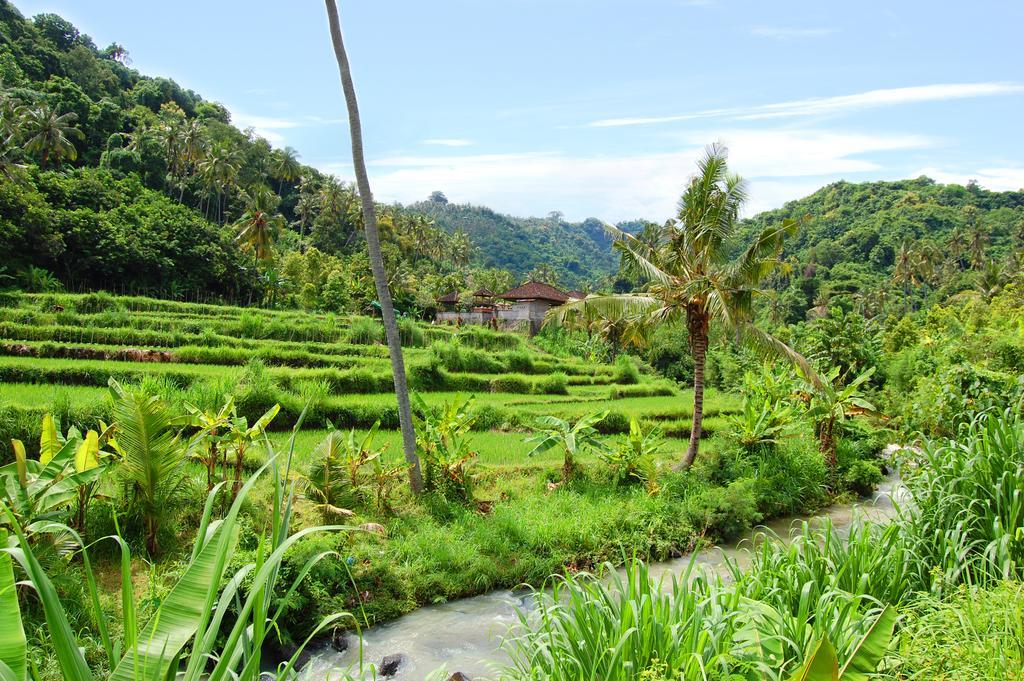 Indo Rumah Zengarden Buleleng Exterior foto