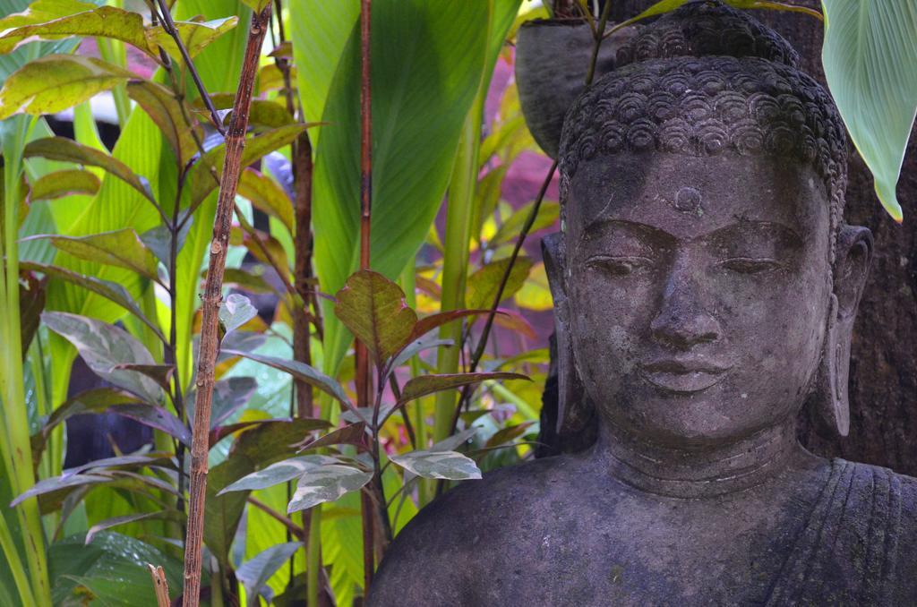 Indo Rumah Zengarden Buleleng Exterior foto