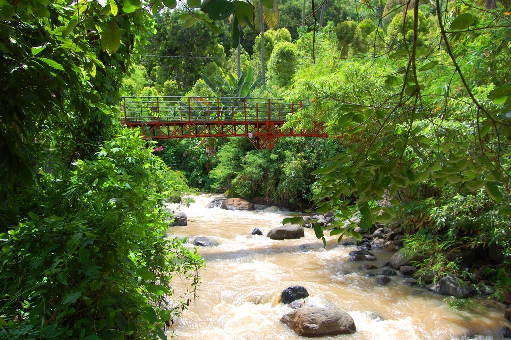 Indo Rumah Zengarden Buleleng Exterior foto