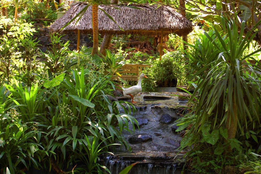 Indo Rumah Zengarden Buleleng Exterior foto