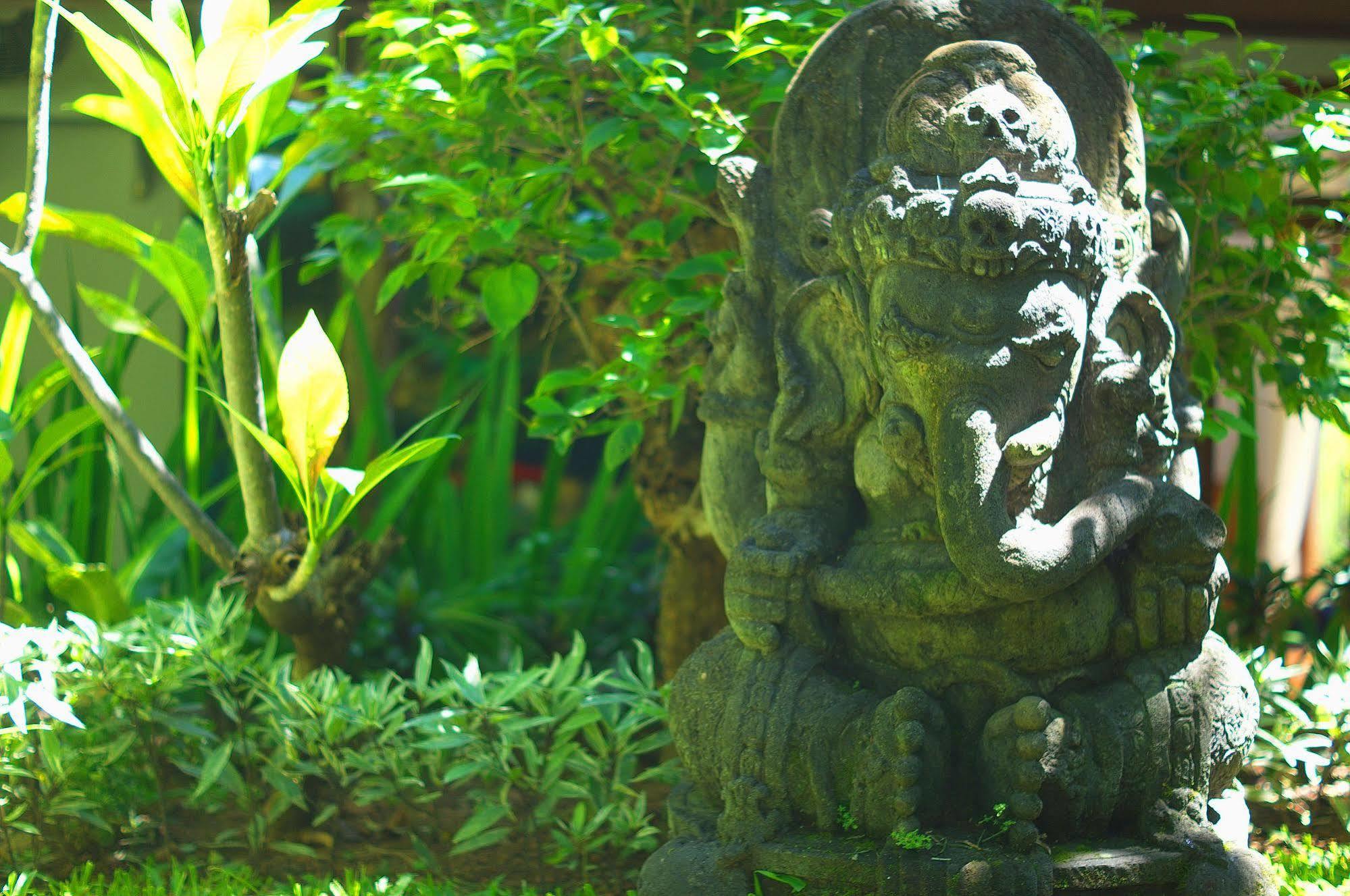 Indo Rumah Zengarden Buleleng Exterior foto